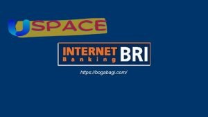 bri-internet-banking