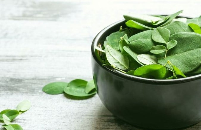 Manfaat Rebusan Air Daun Kelor