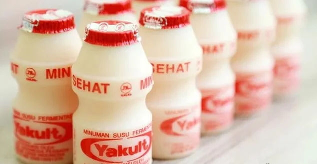 10 Manfaat Yakult Untuk Penderita Wasir Simak Penjelasan Berikut! 1 Manfaat Yakult Untuk Penderita Wasir