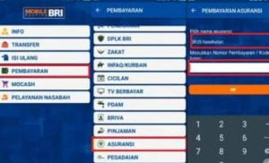 cara bayar bpjs lewat mobile banking bri
