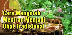 Manfaat Daun Meniran dan Cara Mengolahnya