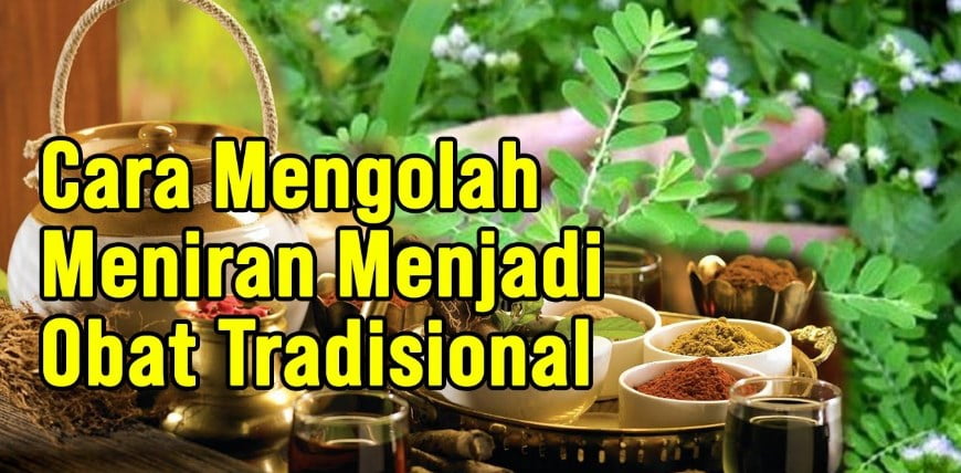 Manfaat Daun Meniran dan Cara Mengolahnya