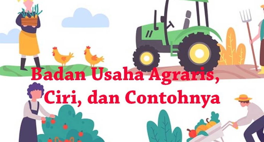 Contoh Usaha Di Bidang Agraris