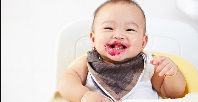 Cara Agar Anak Gemuk Sehat Dan Cerdas