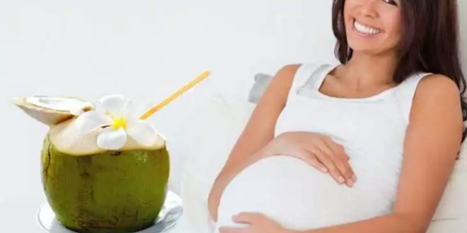 Manfaat Air Degan Untuk Ibu Hamil