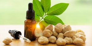 Manfaat Minyak Kemiri Untuk Rambut