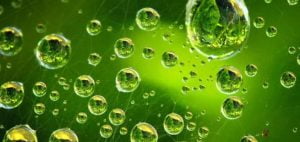 Manfaat Air Embun Untuk Kesehatan