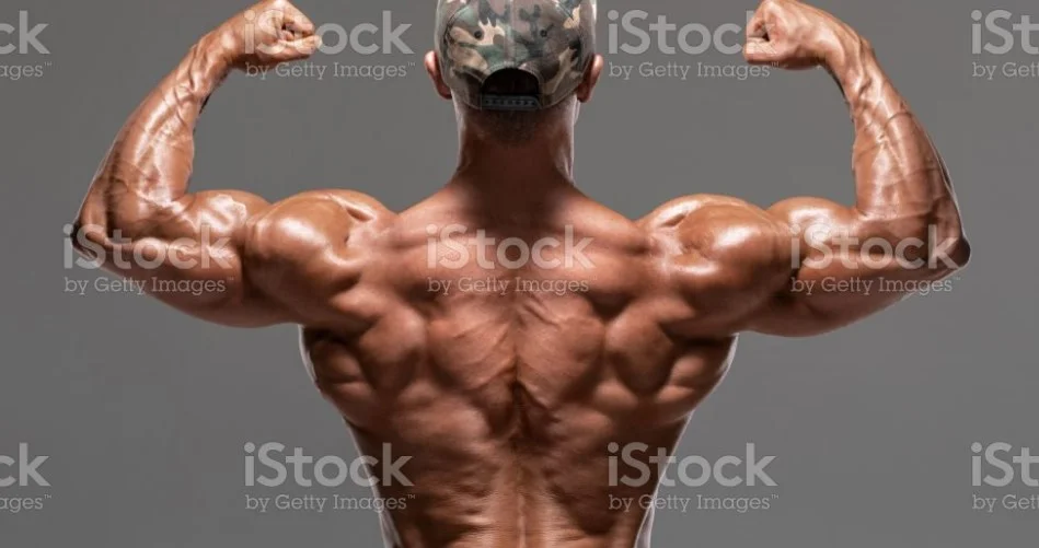 Cara Membentuk Otot Punggung Tanpa Perlu Nge-Gym 1 Cara Membentuk Otot Punggung