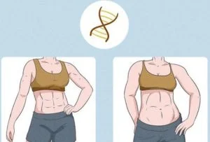 Cara Membuat Perut Sixpack