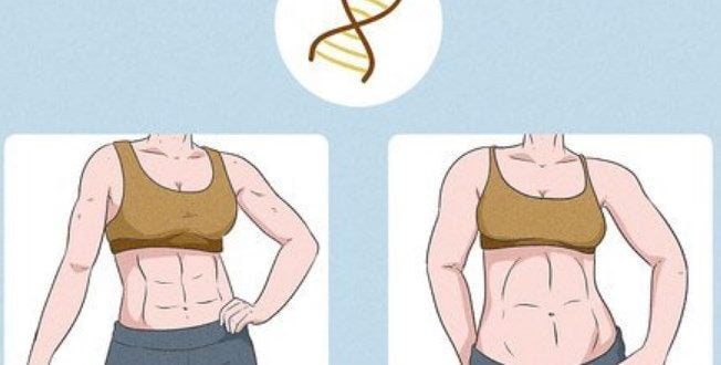 Cara Membuat Perut Sixpack