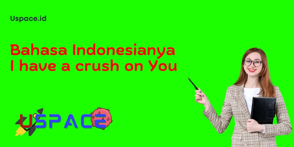 Bahasa Indonesianya I have a crush on You