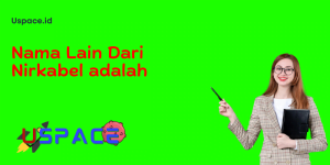 Nama Lain Dari Nirkabel adalah