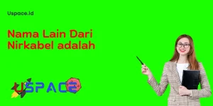 Nama Lain Dari Nirkabel adalah