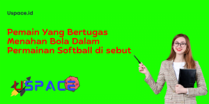 Pemain Yang Bertugas Menahan Bola Dalam Permainan Softball di sebut