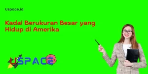 Kadal Berukuran Besar yang Hidup di Amerika​