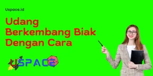 Udang Berkembang Biak Dengan Cara