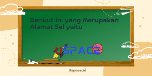 Berikut ini yang Merupakan Alamat Sel yaitu