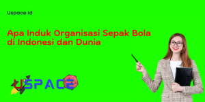 Apa Induk Organisasi Sepak Bola di Indonesi dan Dunia