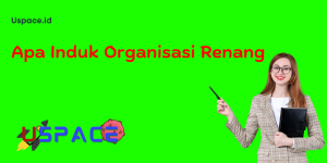 Apa Induk Organisasi Renang