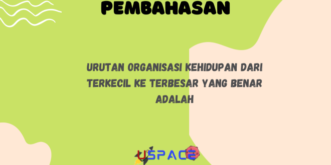 Urutan Organisasi Kehidupan Dari Terkecil ke Terbesar Yang Benar Adalah
