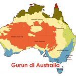 Gurun di Australia