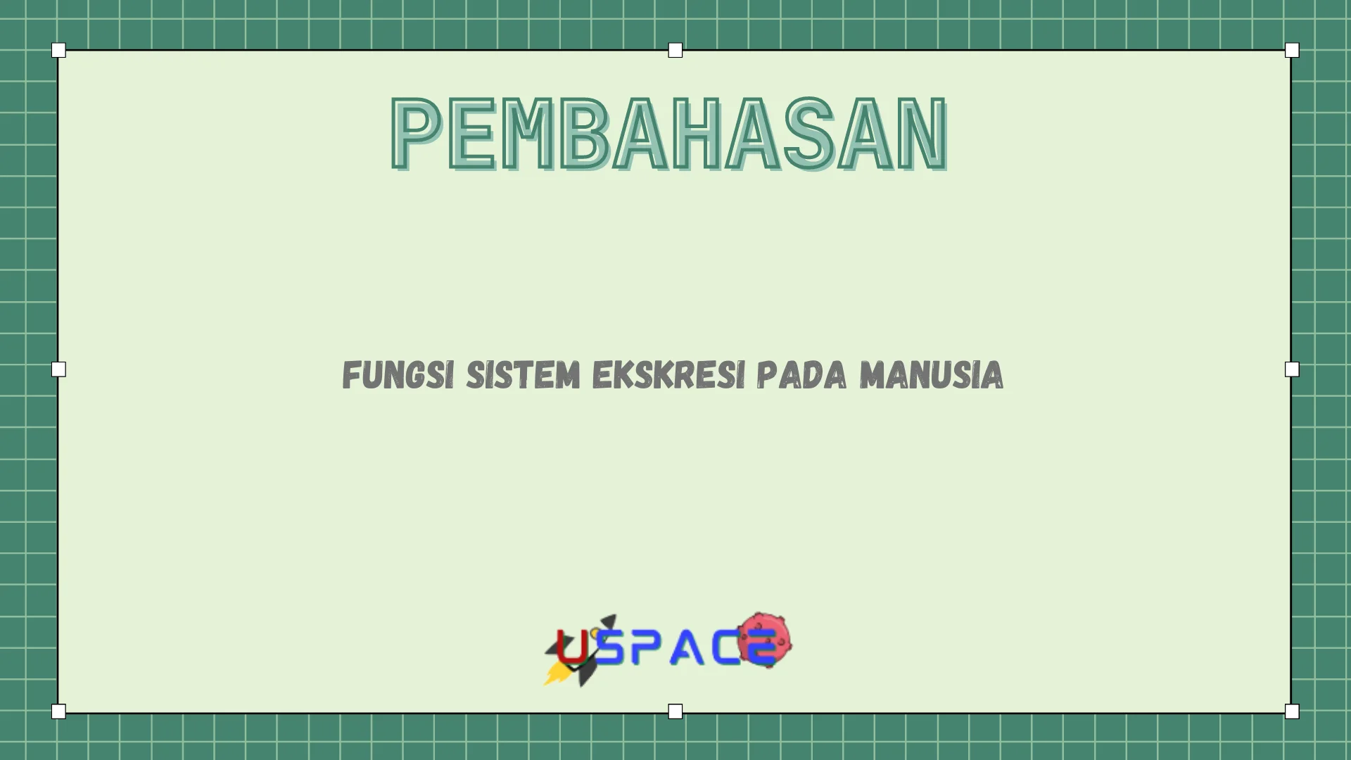 Fungsi Sistem Ekskresi Pada Manusia