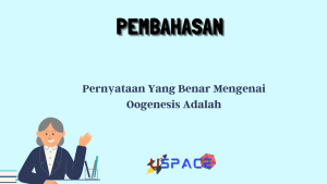 Pernyataan Yang Benar Mengenai Oogenesis Adalah