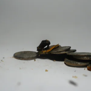 Kiamat Kecil Disebut Juga Kiamat