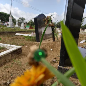 Hari Dibangkitkannya Manusia Dari Alam Kubur Dinamakan
