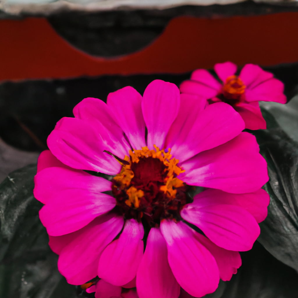 Bagian Bunga Yang Berfungsi Sebagai Alat Perkembangbiakan Generatif Adalah Bagian Bunga Yang Berfungsi Sebagai Alat Perkembangbiakan Generatif Adalah