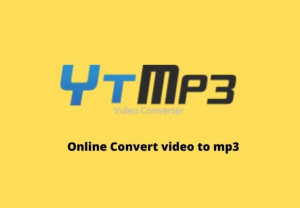 YTMP3 bisa mendownload video dengan cepat