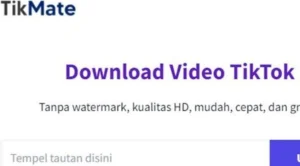 Download Video Tiktok Tanpa Aplikasi Terbaik dan Gratis 2 TikMate.App