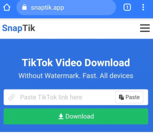Download Video Tiktok Tanpa Aplikasi Terbaik dan Gratis 3 SnapTik.App