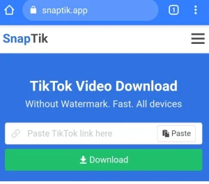 Download Video Tiktok Tanpa Aplikasi Terbaik dan Gratis 3 SnapTik.App