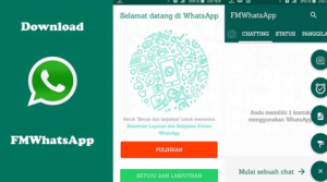 Download Aplikasi FMWhatsApp Terbaru Untuk Android 1 FMWhatsApp