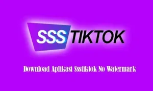 4 Aplikasi Mendownload Video Tiktok Tanpa Watermark Terbaik 3 Ssstiktok