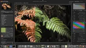 15 Aplikasi Edit Foto di Laptop Terbaik 2023 10 Darktable