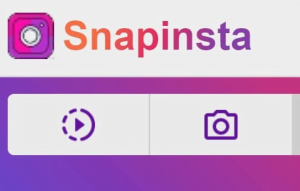 Cara Download Video Instagram Tanpa Aplikasi Terbaru dan Gratis 3 Download video Instagram dengan SnapInsta