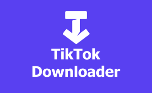 5 Cara Download Lagu Tiktok MP3 Tanpa Aplikasi Mudah dan Lengkap 6 Download Lagu TikTok MP3 di TikTok Downloader