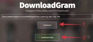 Cara Download Video di Instagram Tanpa Aplikasi Paling Mudah 6 Klik tombol download video