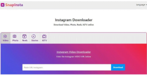 Pergi ke situs Instagram downloader