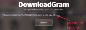 Cara Download Video di Instagram Tanpa Aplikasi Paling Mudah 5 Paste URL video