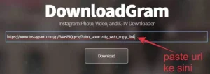 Cara Download Video di Instagram Tanpa Aplikasi Paling Mudah 5 Paste URL video