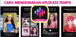 Cara Menggunakan Aplikasi Tempo
