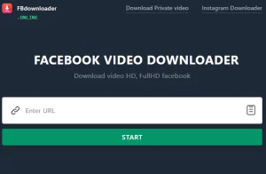 4 Cara Download Video di Facebook Tanpa Aplikasi Anti Gagal 2 Cara Download Video Facebook Tanpa Aplikasi Lewat Fbdownloader.online