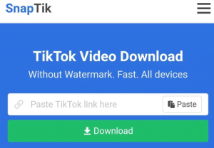 Download Video Tiktok Tanpa Watermark di SnapTik