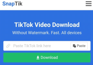 3 Cara Download Video Tiktok Tanpa Aplikasi dan Tanpa Watermark 1 Download Video Tiktok Tanpa Watermark di SnapTik