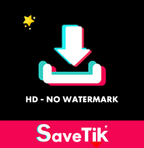 Download Video Tiktok Tanpa Watermark di Save TikTok