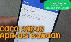 Cara Menghapus Aplikasi Bawaan