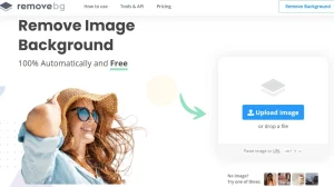5 Cara Mengganti Background Foto di HP Tanpa Aplikasi Dengan Mudah 2 Remove.Bg